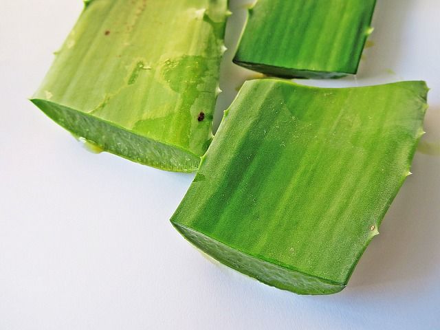 aloe-vera