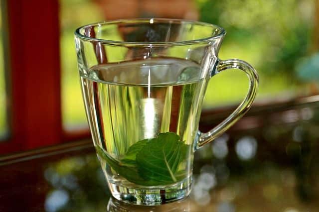 peppermint tea