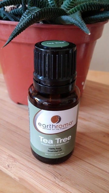 tea tree oil for dandruff