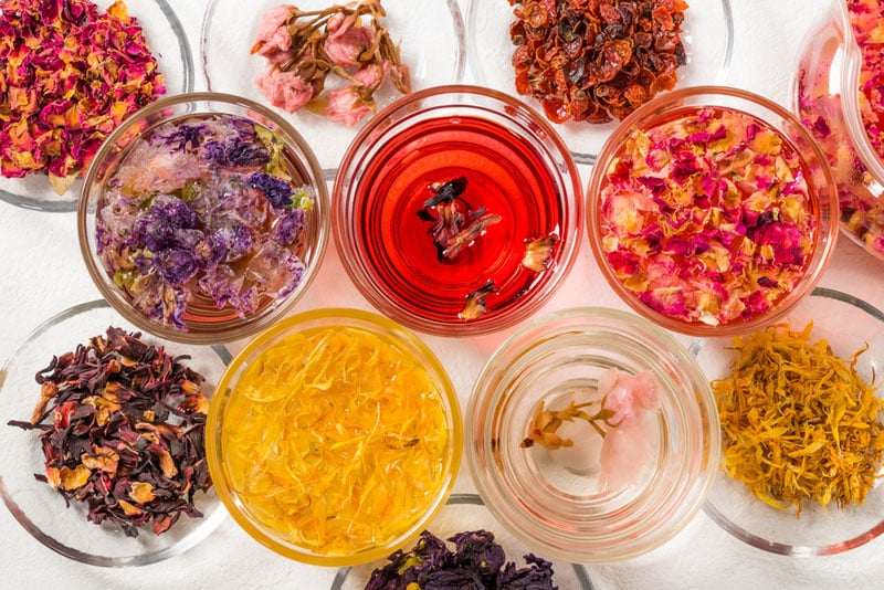 photo of different healthy herbal teas