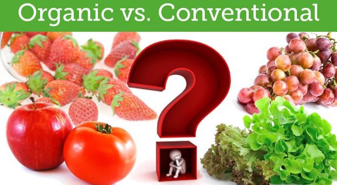 organic vs conventional food